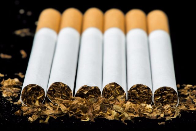 Набор семян табака для сигарет