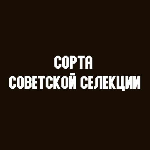 Сорта советской селекции